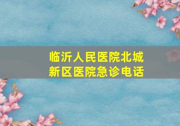 临沂人民医院北城新区医院急诊电话