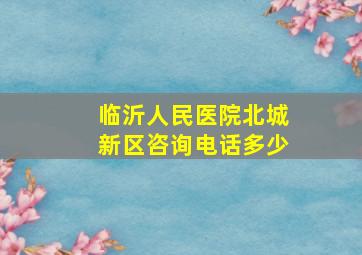 临沂人民医院北城新区咨询电话多少