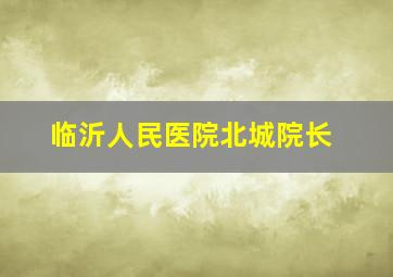 临沂人民医院北城院长