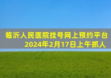 临沂人民医院挂号网上预约平台2024年2月17日上午抓人