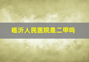 临沂人民医院是二甲吗