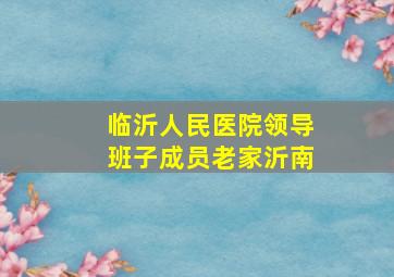 临沂人民医院领导班子成员老家沂南