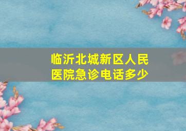 临沂北城新区人民医院急诊电话多少