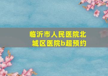 临沂市人民医院北城区医院b超预约