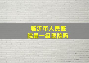 临沂市人民医院是一级医院吗