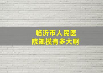 临沂市人民医院规模有多大啊