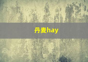 丹麦hay