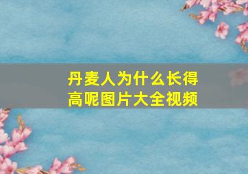 丹麦人为什么长得高呢图片大全视频