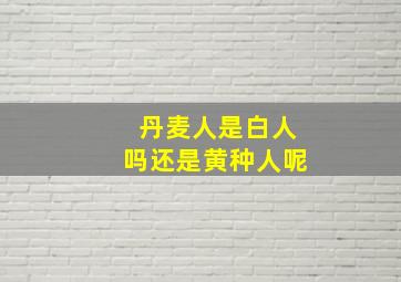 丹麦人是白人吗还是黄种人呢