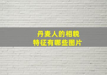 丹麦人的相貌特征有哪些图片