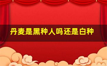 丹麦是黑种人吗还是白种