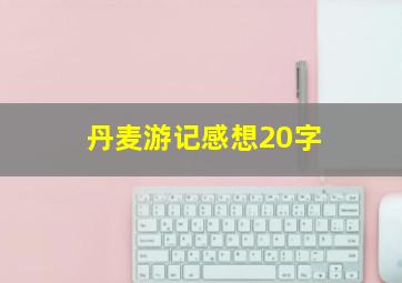 丹麦游记感想20字