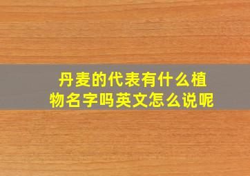 丹麦的代表有什么植物名字吗英文怎么说呢