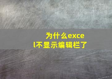 为什么excel不显示编辑栏了