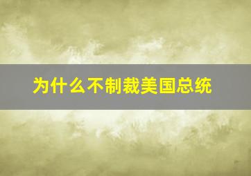 为什么不制裁美国总统