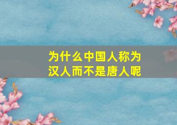 为什么中国人称为汉人而不是唐人呢