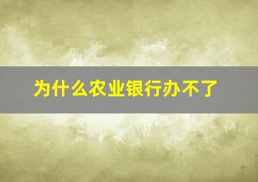 为什么农业银行办不了