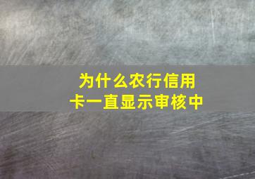 为什么农行信用卡一直显示审核中