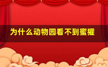 为什么动物园看不到蜜獾