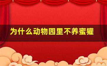 为什么动物园里不养蜜獾