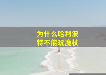 为什么哈利波特不能玩魔杖