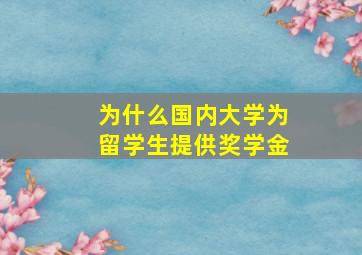 为什么国内大学为留学生提供奖学金