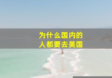 为什么国内的人都要去美国