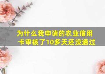 为什么我申请的农业信用卡审核了10多天还没通过