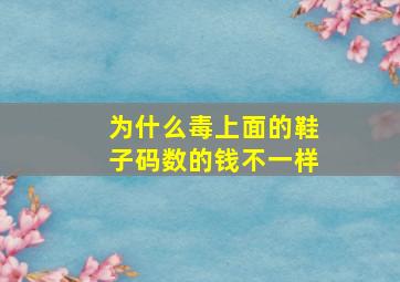 为什么毒上面的鞋子码数的钱不一样