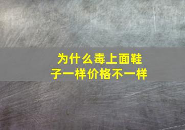 为什么毒上面鞋子一样价格不一样