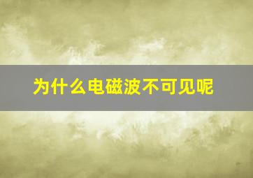 为什么电磁波不可见呢