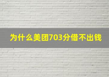 为什么美团703分借不出钱