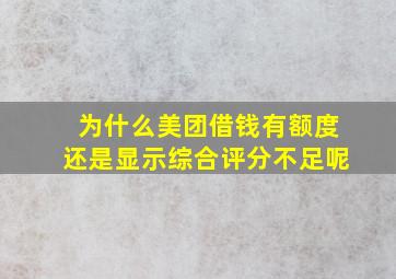 为什么美团借钱有额度还是显示综合评分不足呢