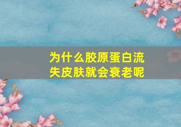 为什么胶原蛋白流失皮肤就会衰老呢