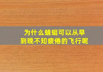 为什么蜻蜓可以从早到晚不知疲倦的飞行呢