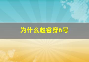 为什么赵睿穿6号