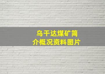 乌干达煤矿简介概况资料图片