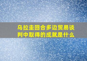 乌拉圭回合多边贸易谈判中取得的成就是什么