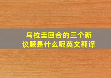 乌拉圭回合的三个新议题是什么呢英文翻译