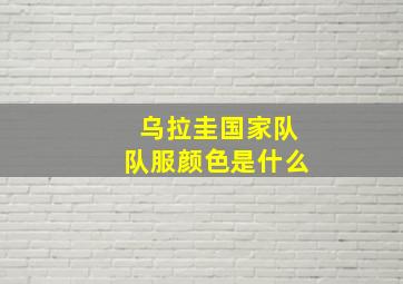 乌拉圭国家队队服颜色是什么