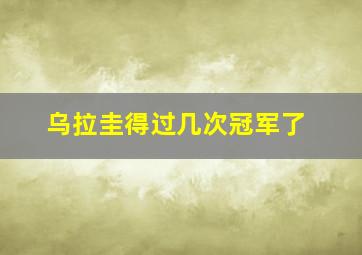 乌拉圭得过几次冠军了