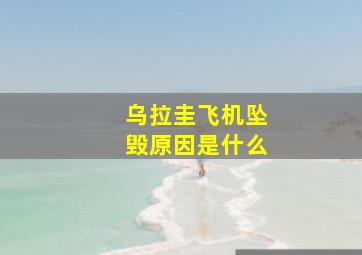 乌拉圭飞机坠毁原因是什么