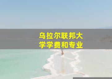 乌拉尔联邦大学学费和专业