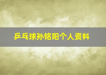 乒乓球孙铭阳个人资料