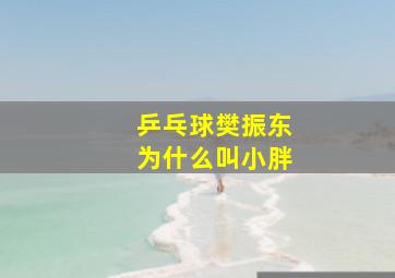 乒乓球樊振东为什么叫小胖