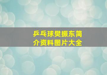 乒乓球樊振东简介资料图片大全