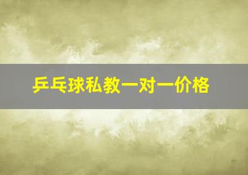 乒乓球私教一对一价格