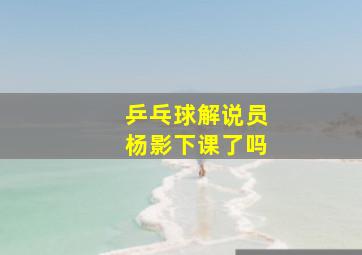 乒乓球解说员杨影下课了吗