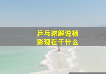 乒乓球解说杨影现在干什么