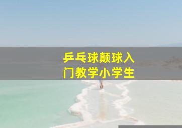 乒乓球颠球入门教学小学生